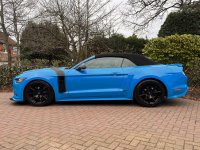 FORD MUSTANG